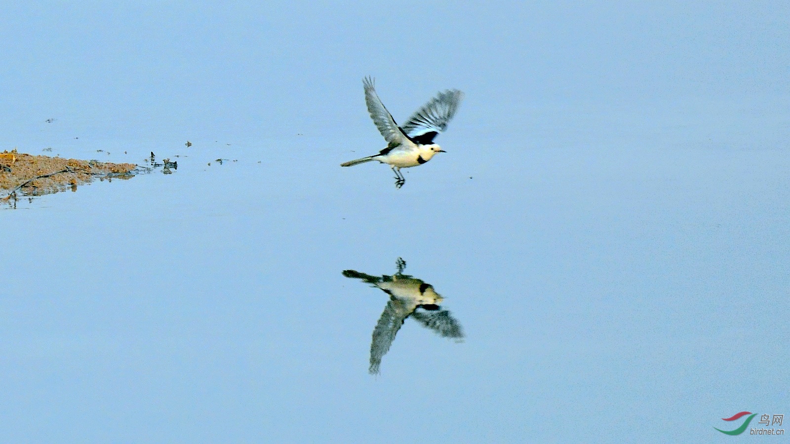 DSC_8816.JPG
