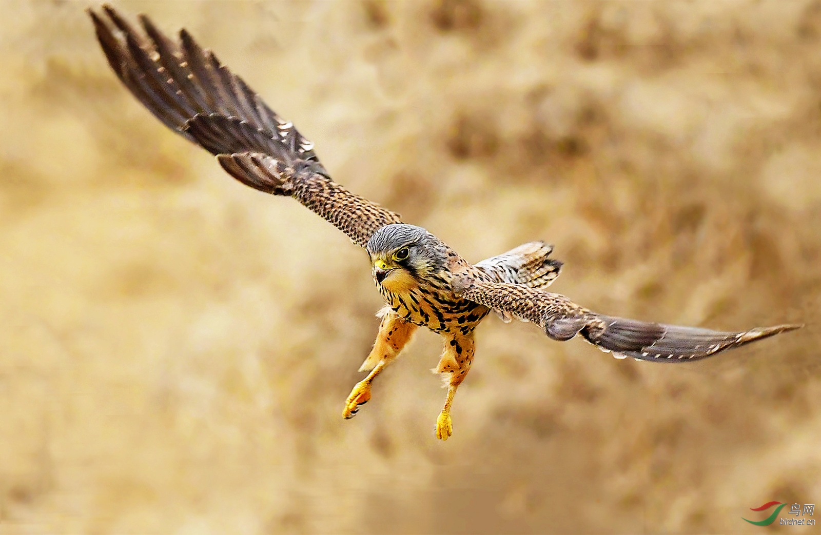 f7 ����_����.jpg