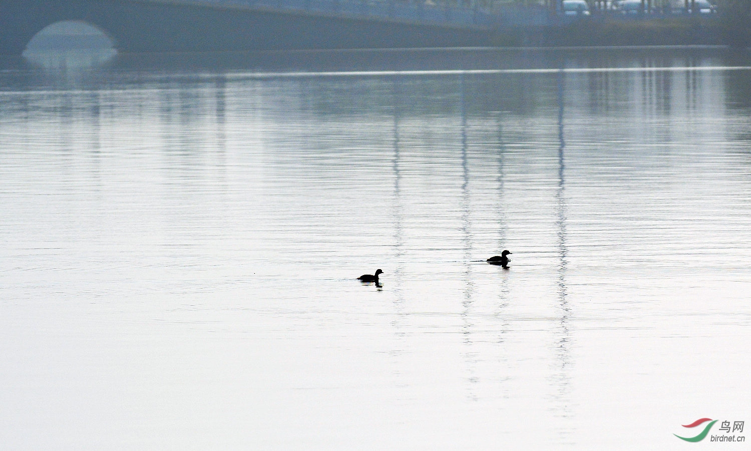 DSC_3054.JPG