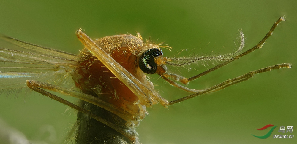 2019-06-05-15.32.30 ZS PMax.jpg