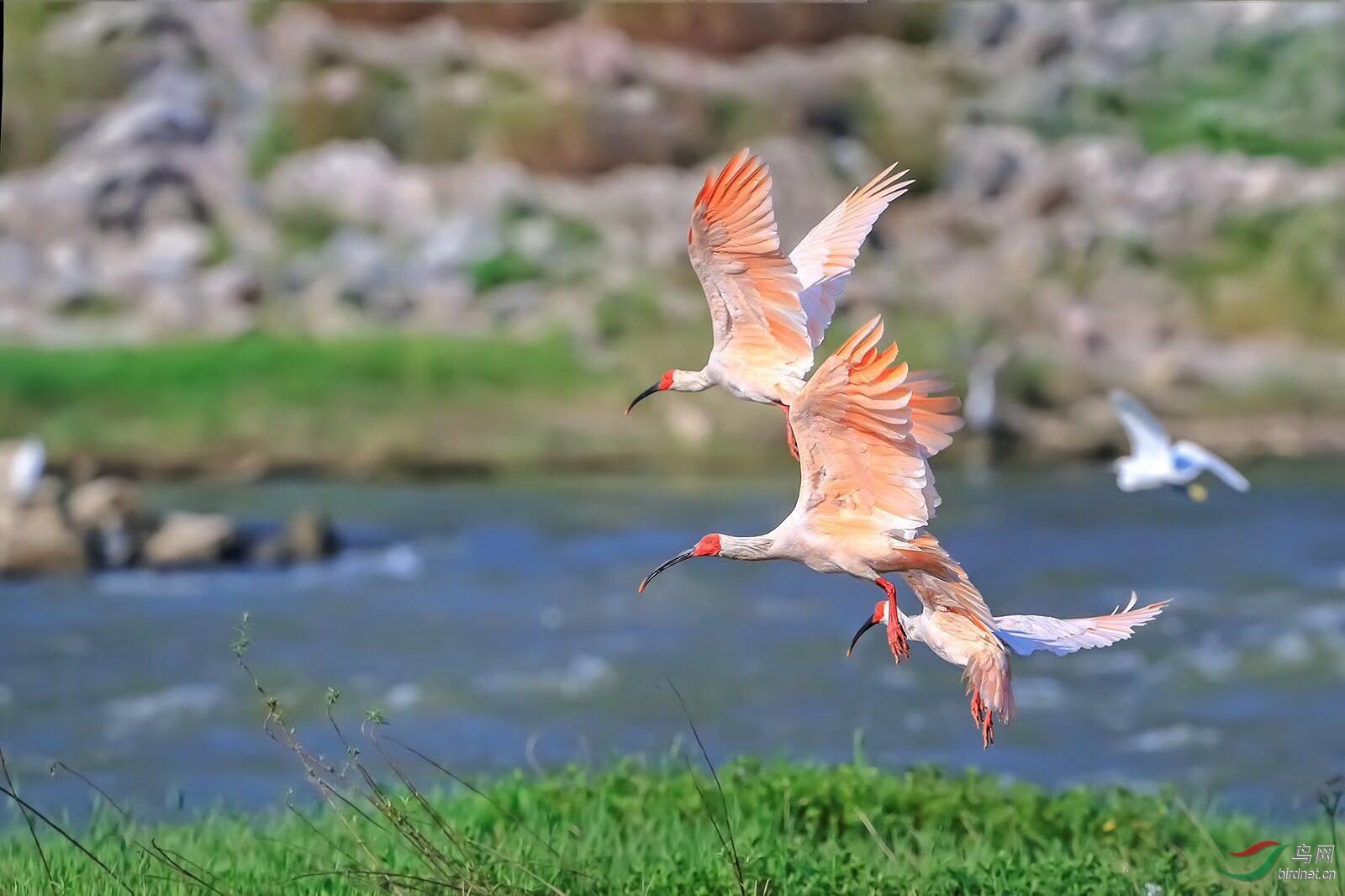 _201905171512407 (24).jpg