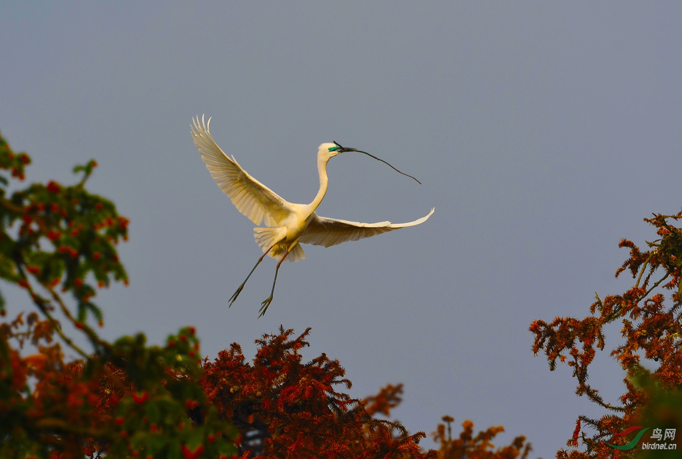DSC_2092.JPG