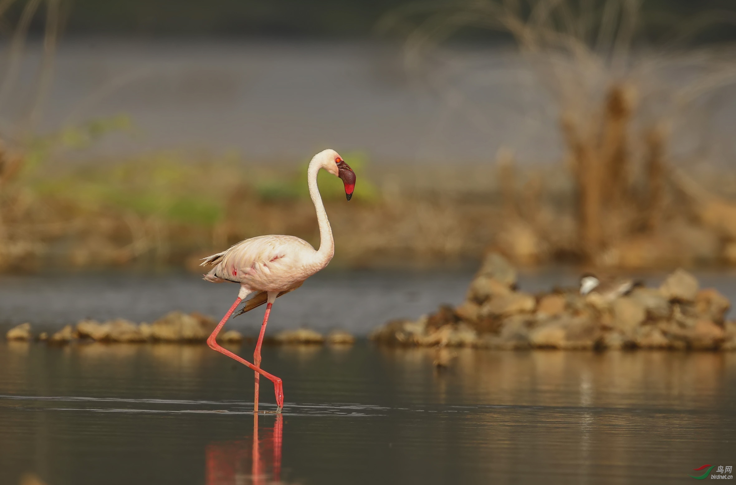 BH7W0021�� (35).jpg