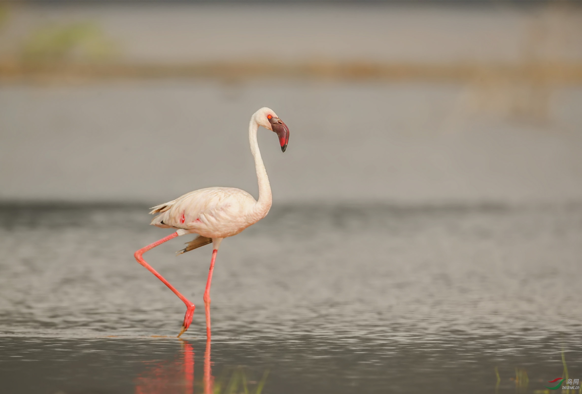 BH7W0021�� (36).jpg