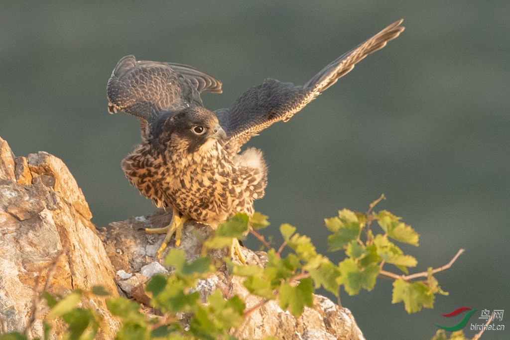 _K8I0193  01_����.jpg