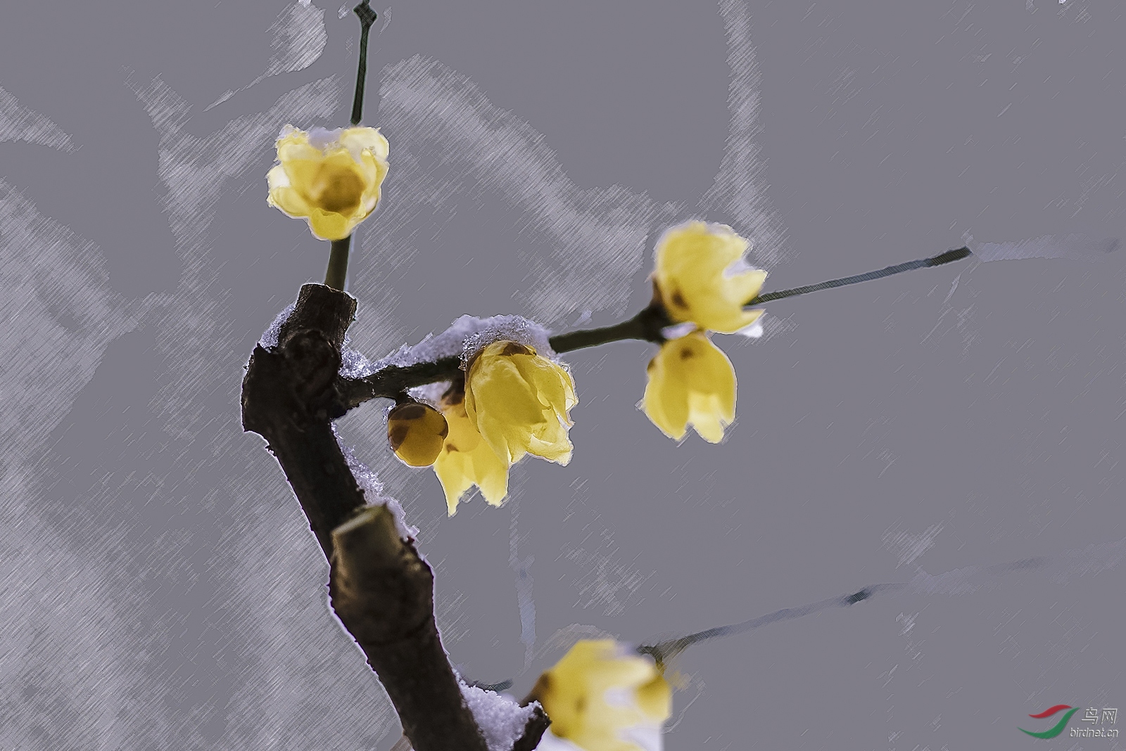 _D8A7152_3972a2.jpg