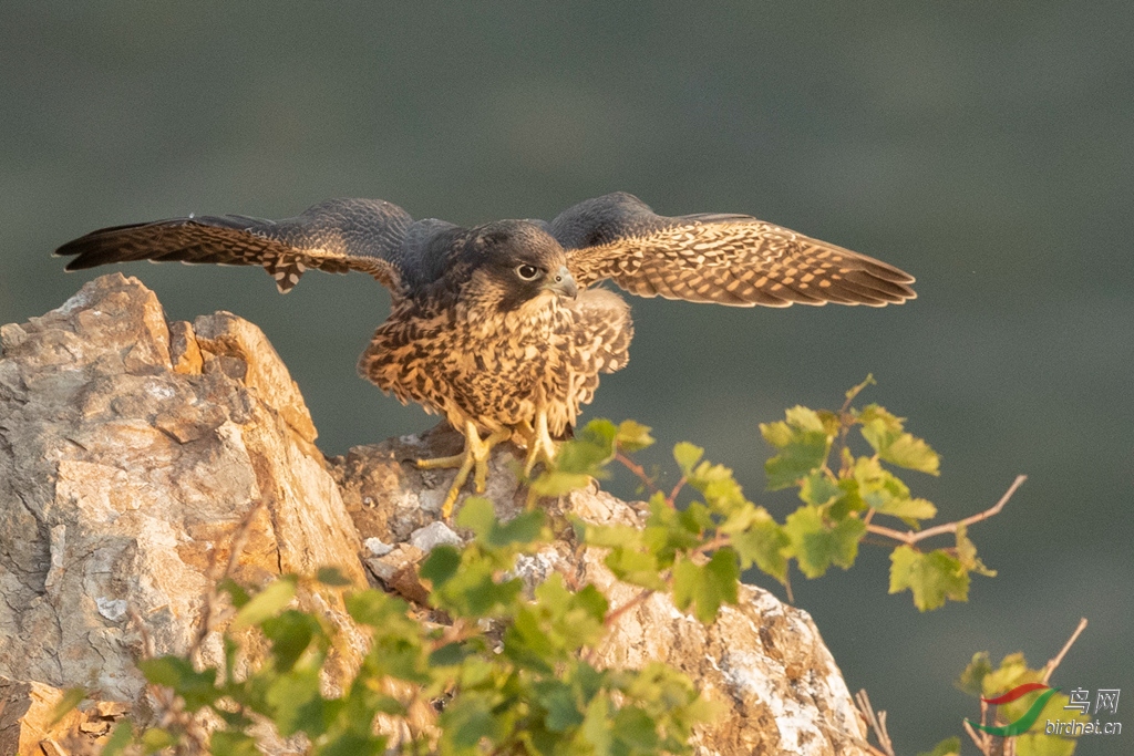 _K8I0206  01_����.jpg