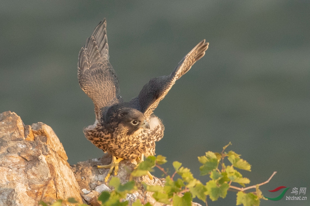 _K8I0196  01_����.jpg