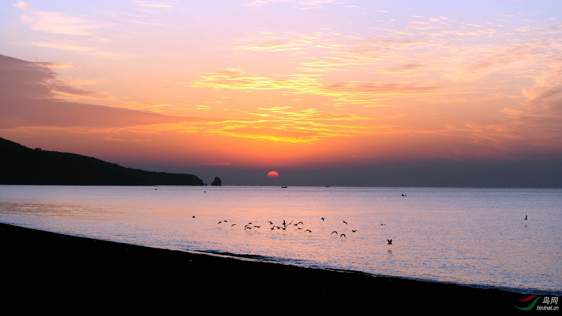 DSC_0949_����.jpg