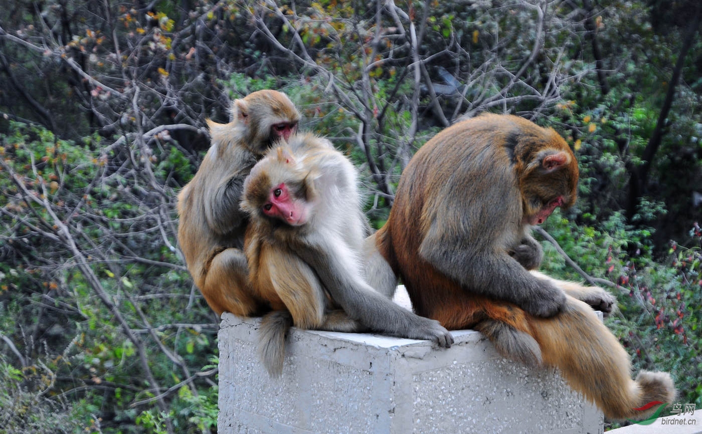 DSC_0460.JPG
