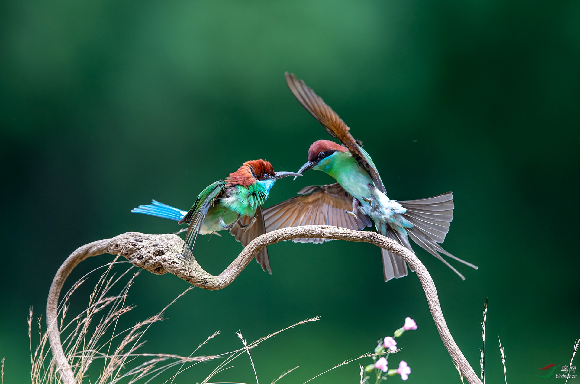 DSC_6989a.jpg
