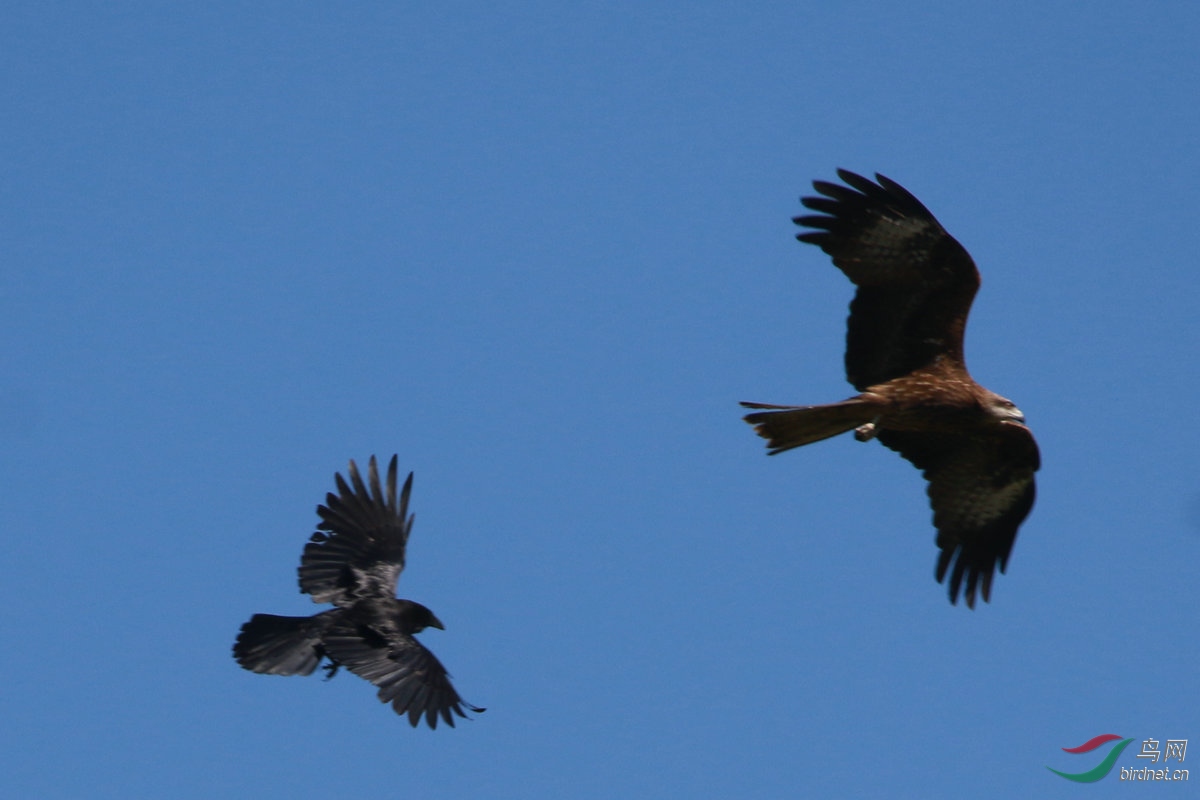 2�������ѻ��