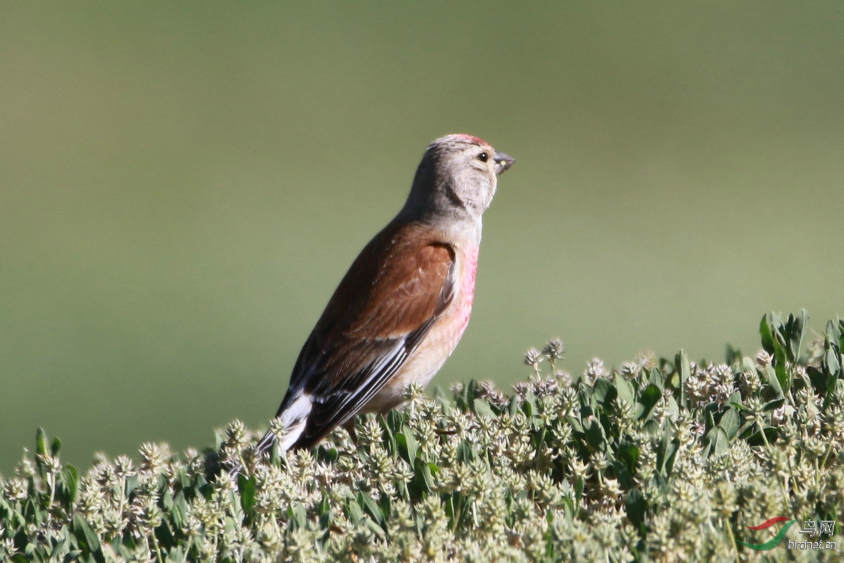 3�����춥ȸ��