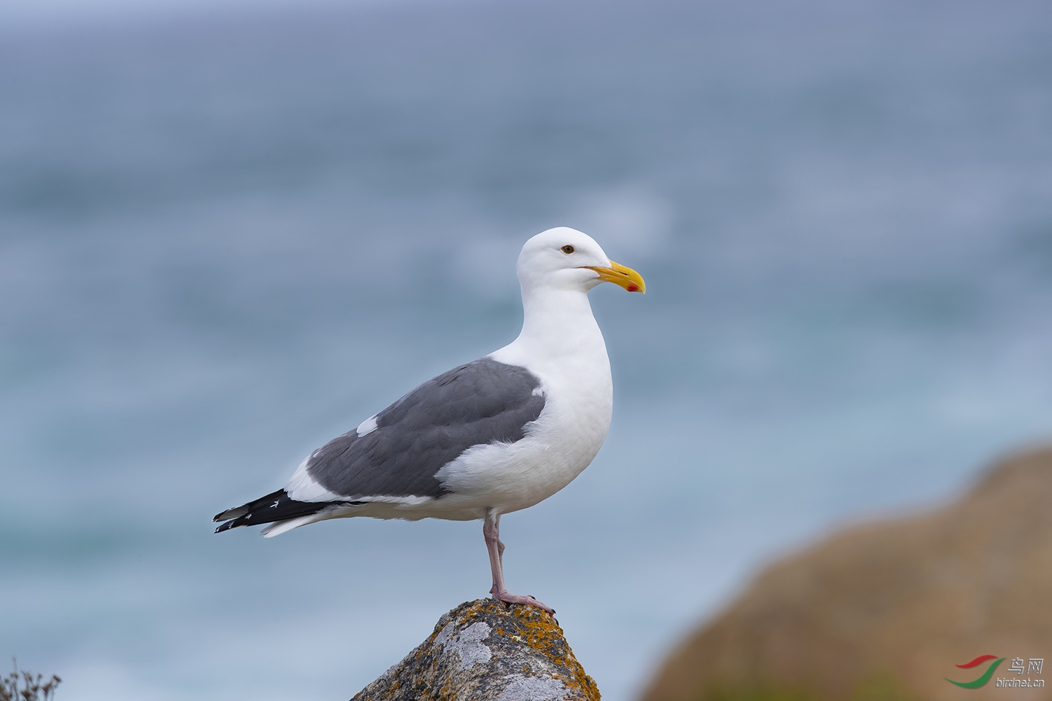 NL__9535.jpg