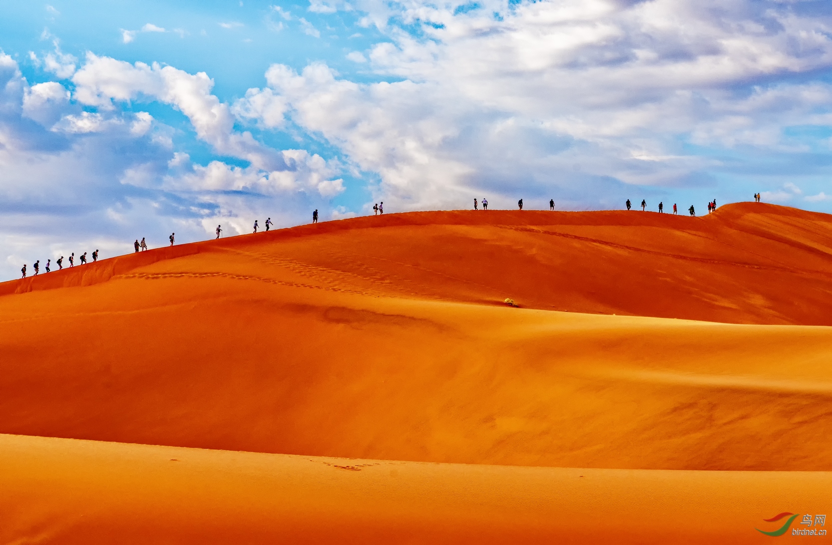 纳米比亚红色沙漠图片