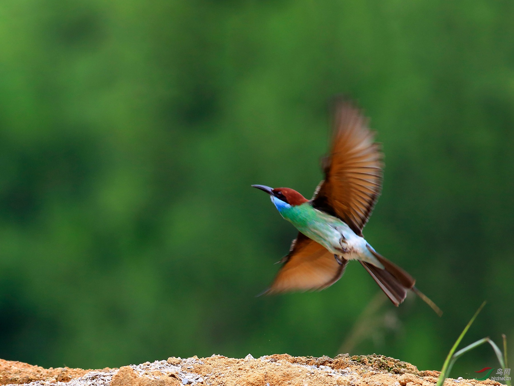 2019-05-31 16-07-15 (2).JPG