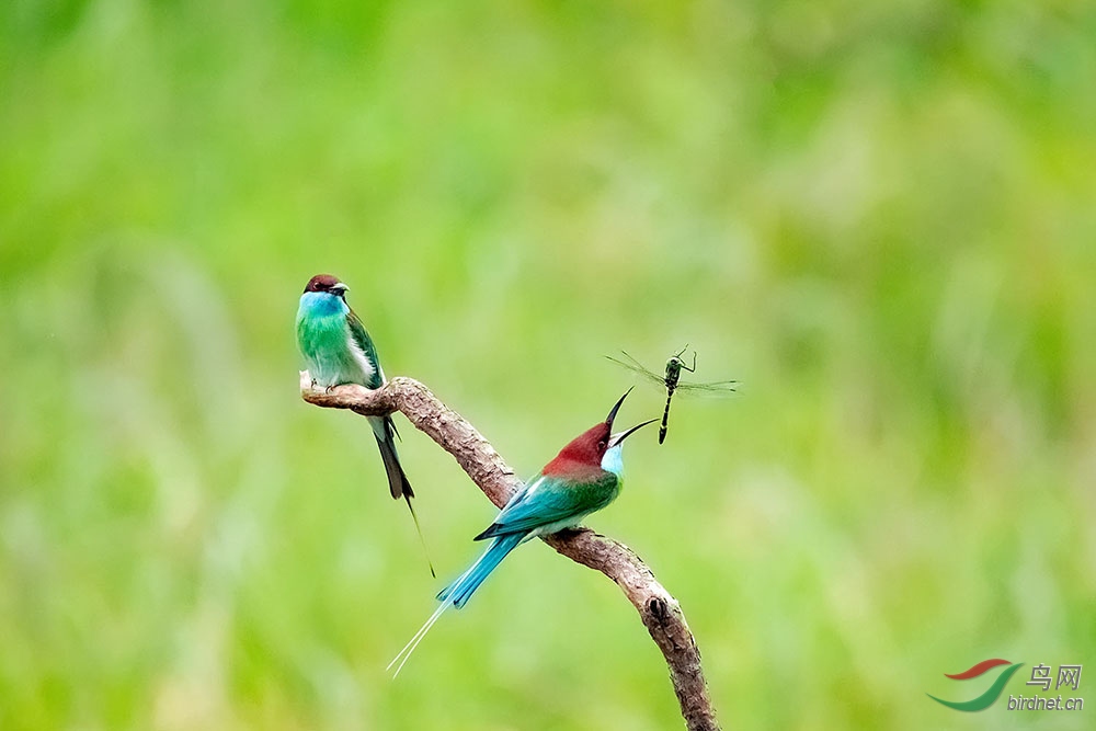 ����֮��