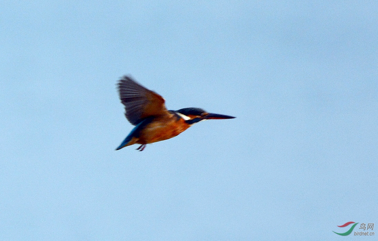 4DSC_7882.JPG