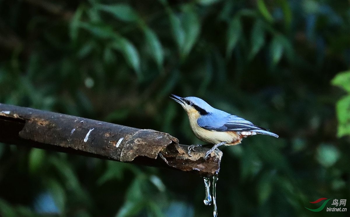 ���� 105.jpg