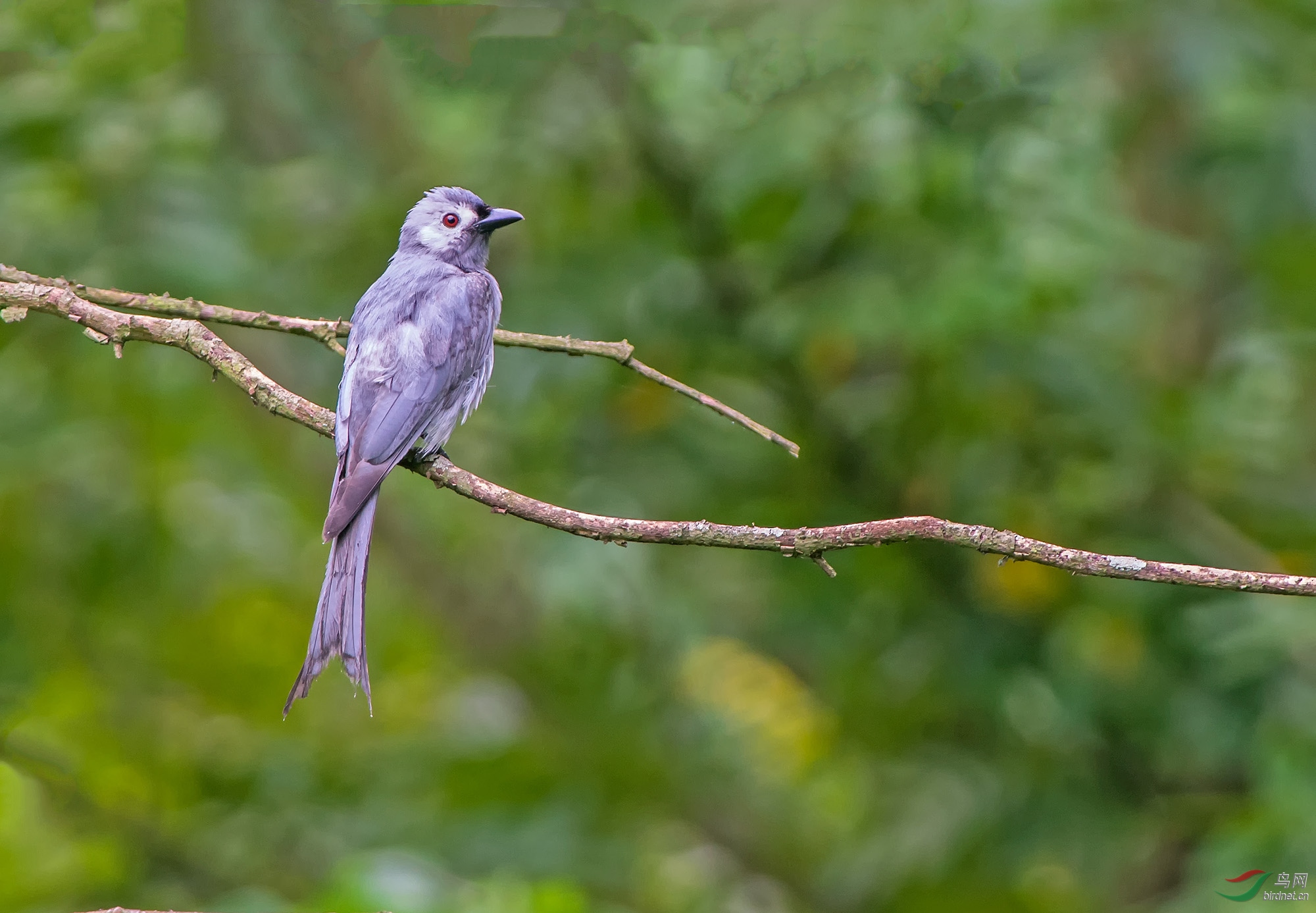 DSC_5802-1.jpg