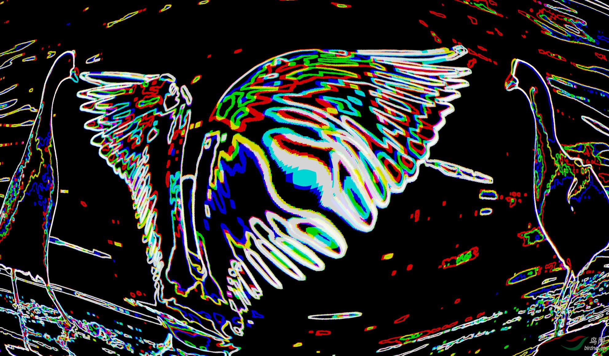 DSC_5264_conew2.jpg