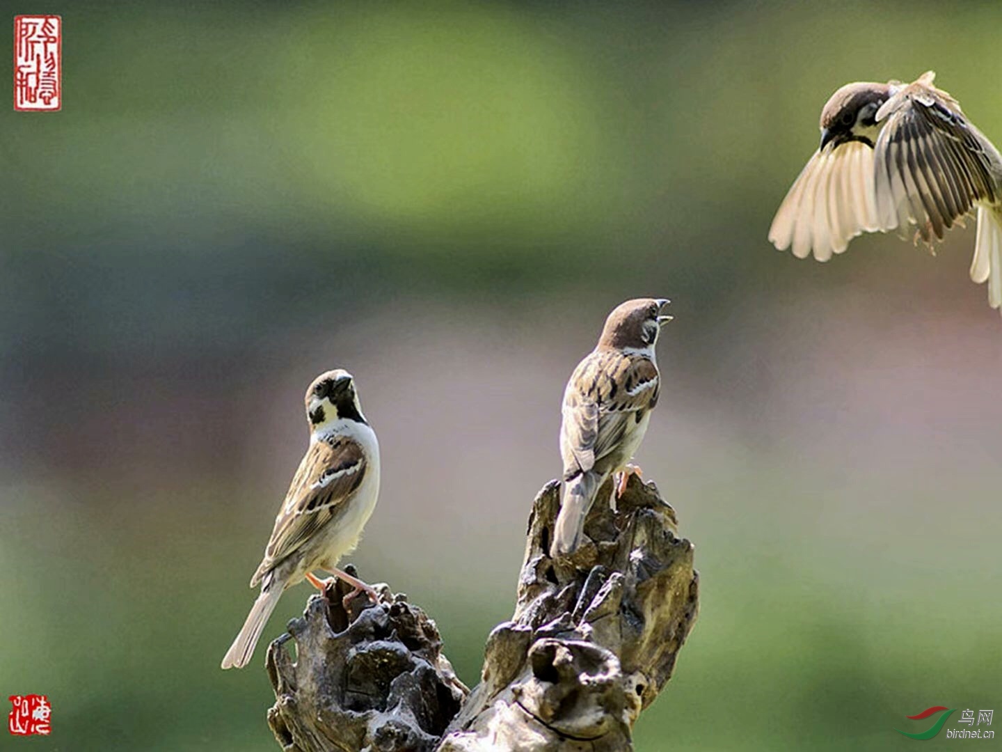 2B16A173-B450-4BEE-B90F-D2A00102C359.jpeg