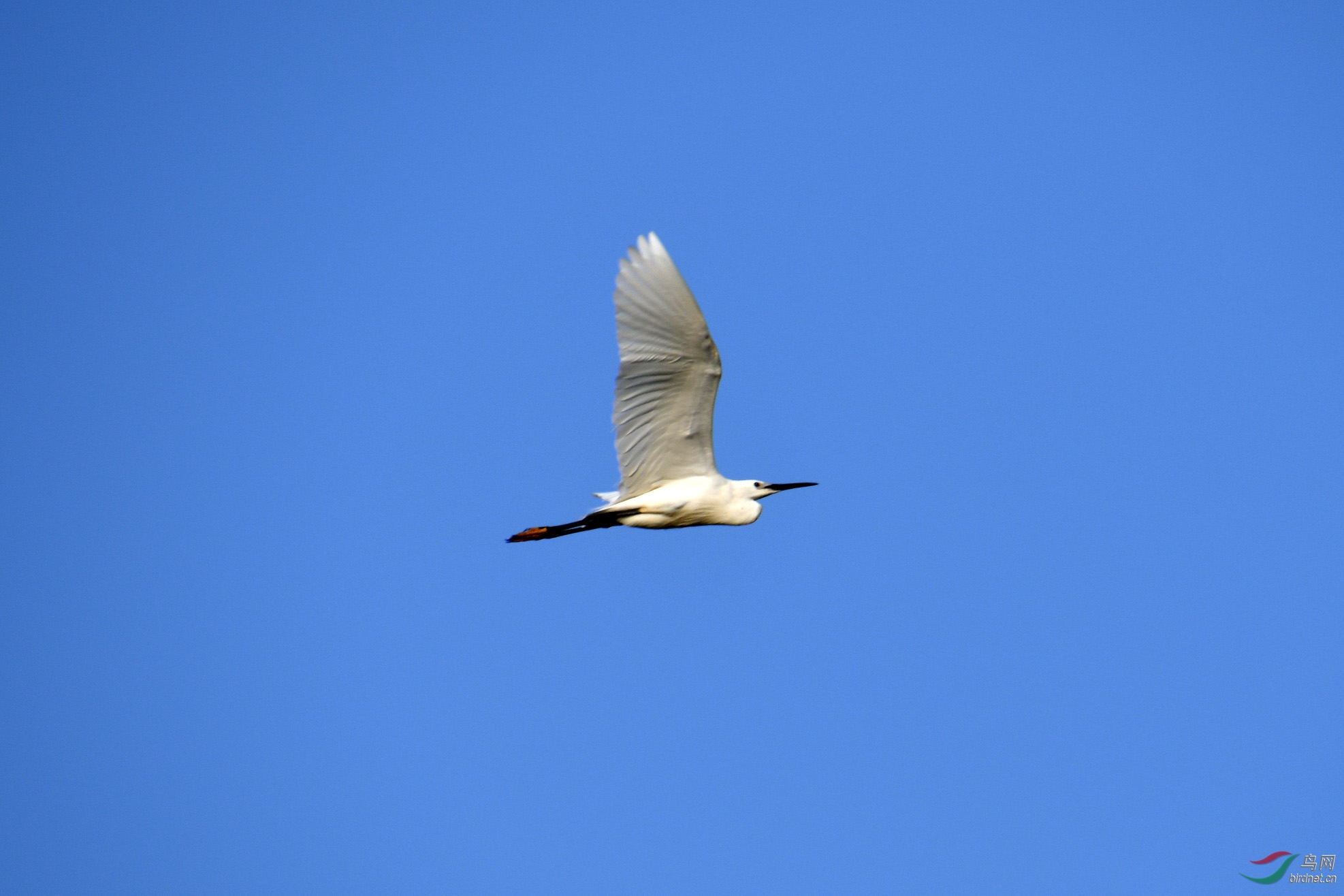 D50_6504.jpg