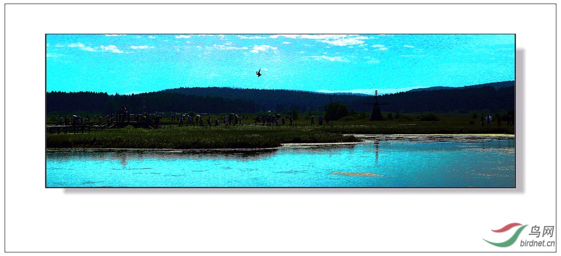 8J6A8138_����_����1_����.jpg