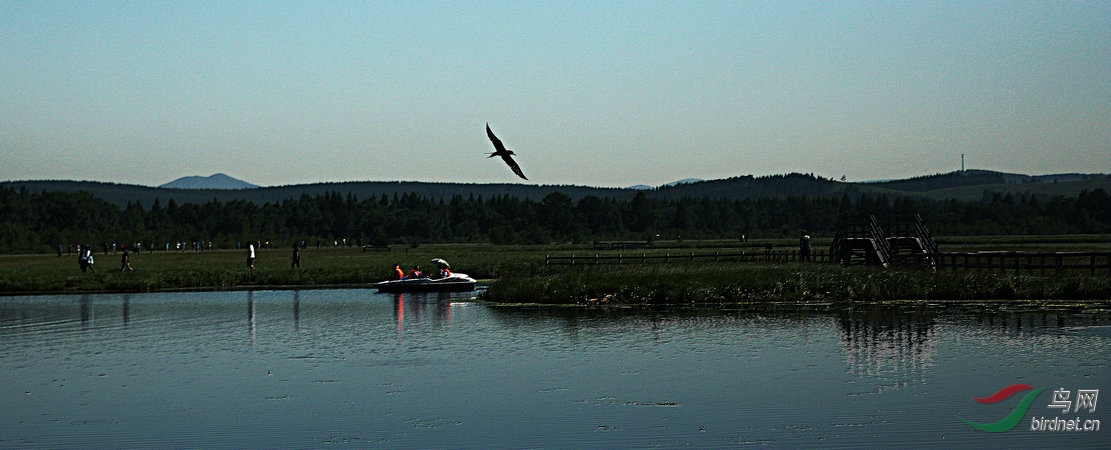 8J6A8179_����_����.jpg