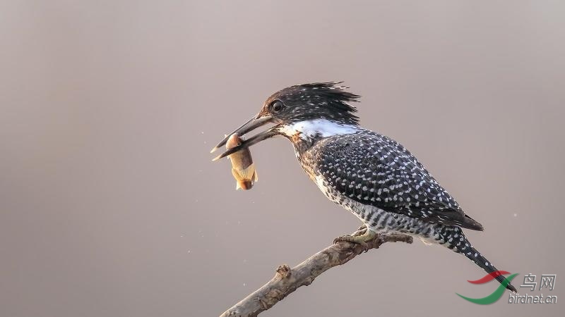 _2019012115201083 (69).jpg