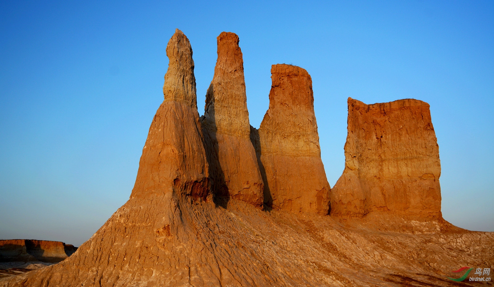 DSC_0622.JPG