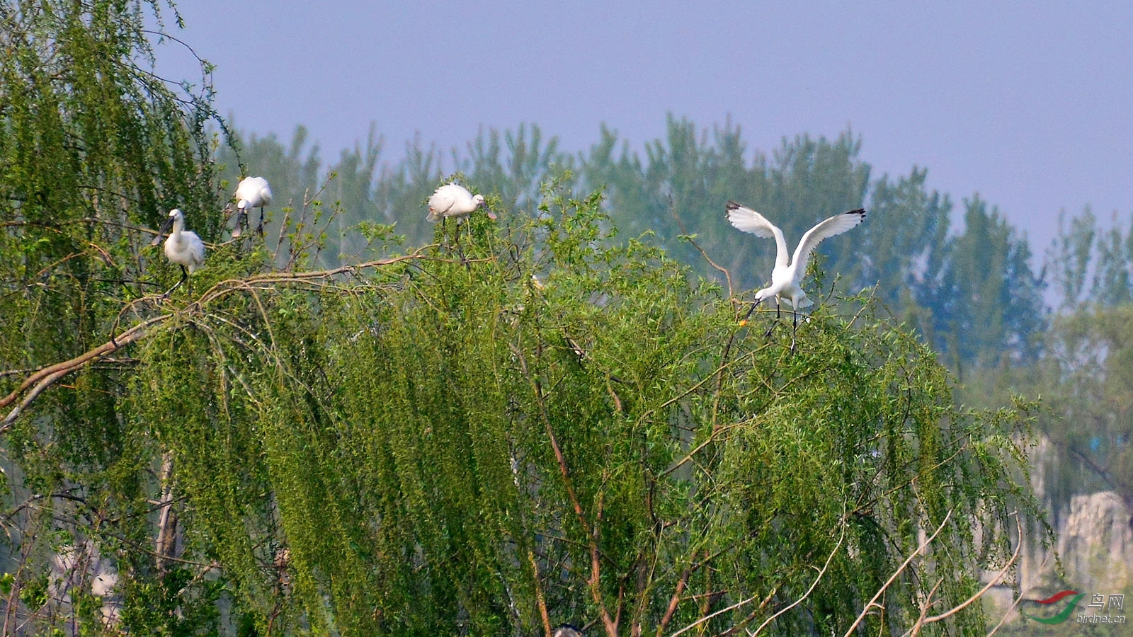 DSC_6317.JPG