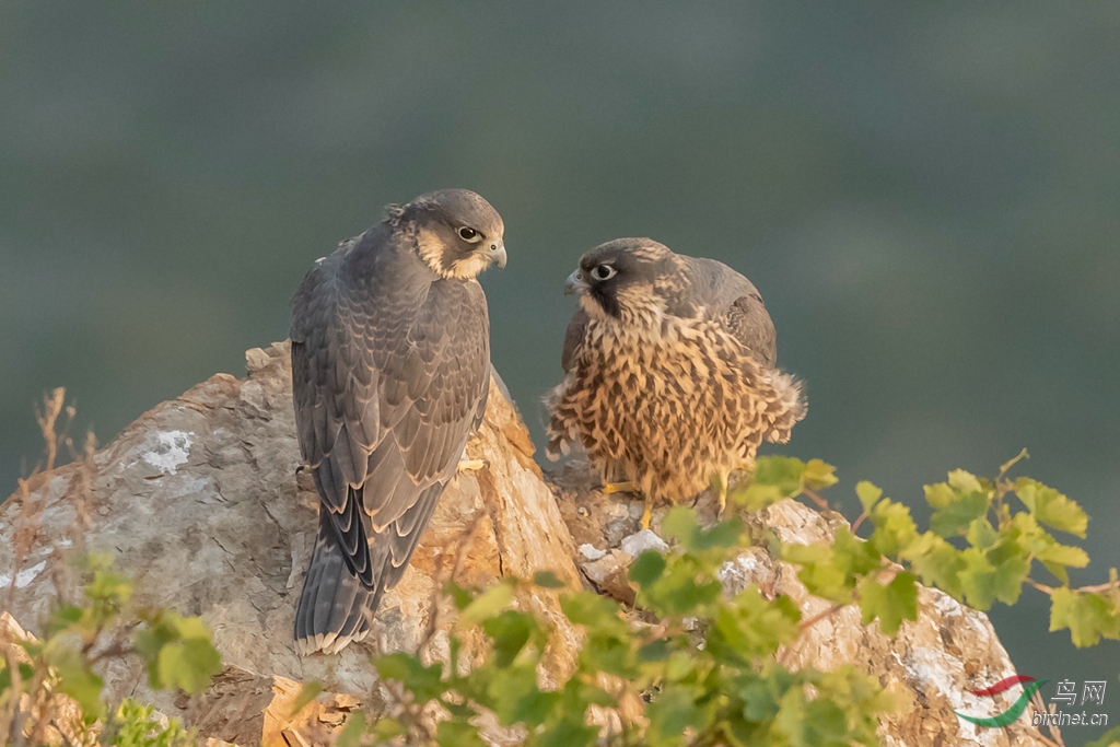 _K8I0400  01_����.jpg