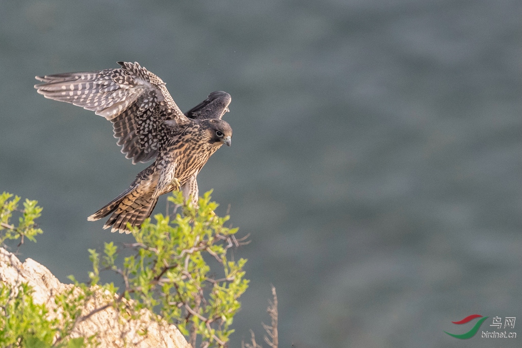 _K8I7587  01_����.jpg