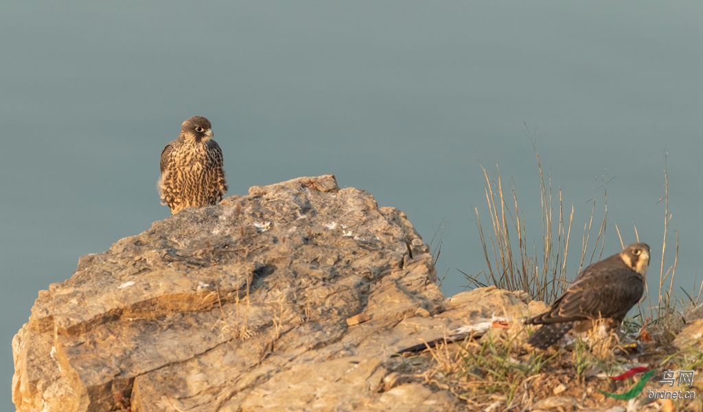 _K8I0978  01_����.jpg