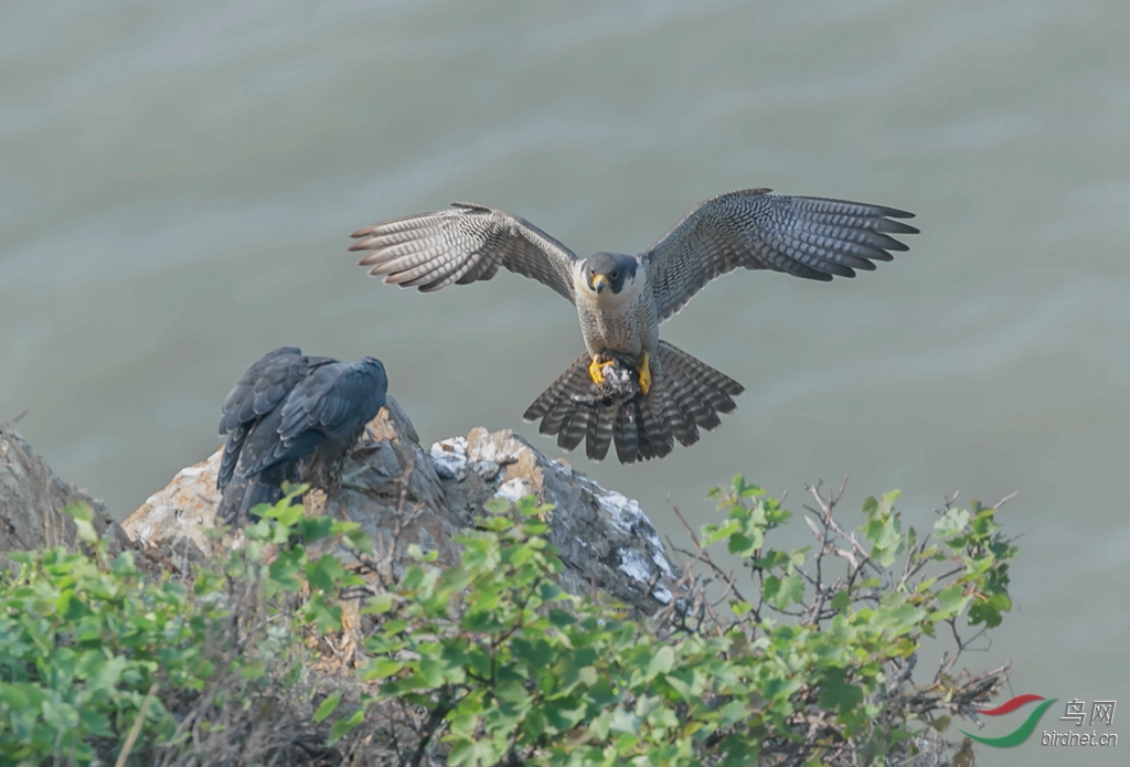 916A8505  01_����.jpg