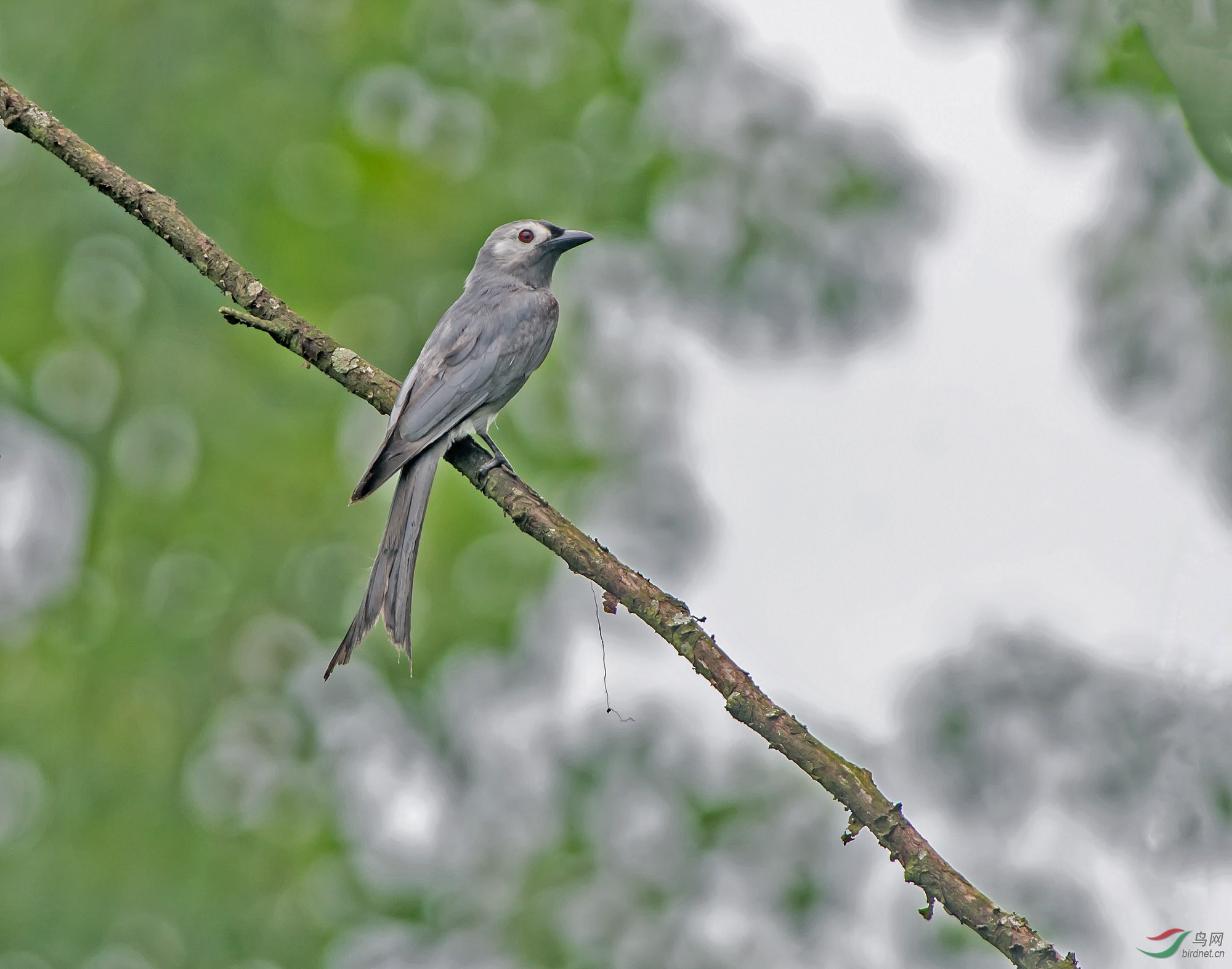 �Ҿ�β ����