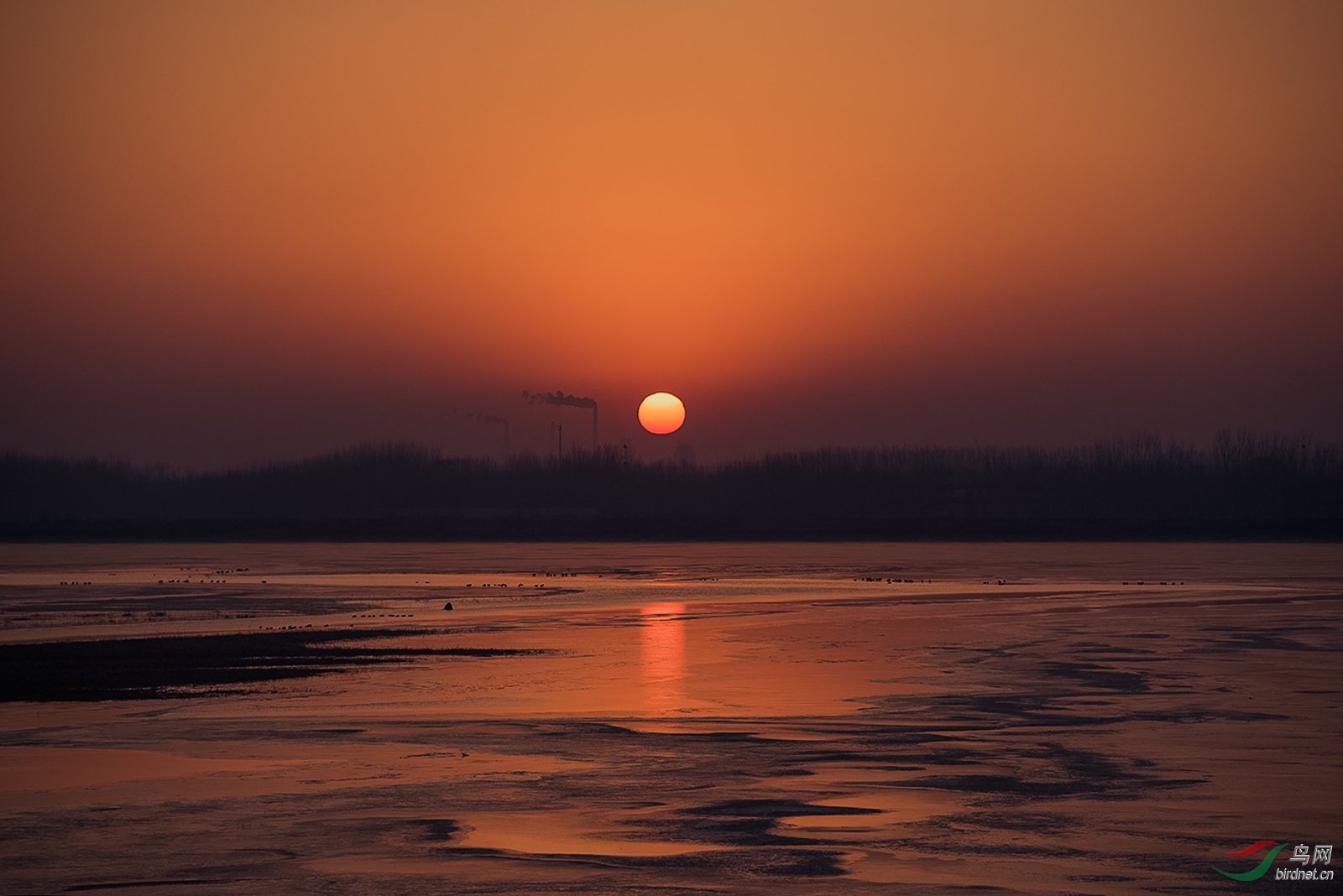 _D8A9869a.jpg