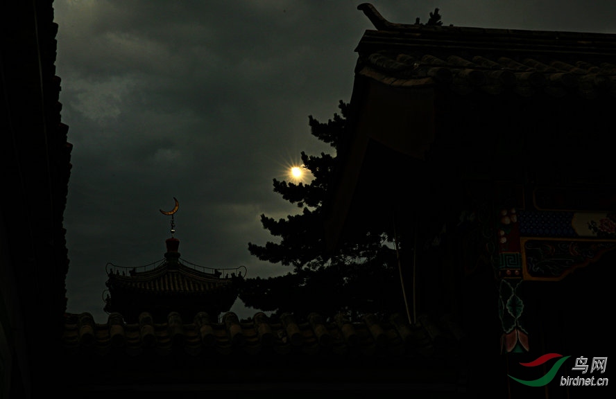 8J6A8658_����_����.jpg
