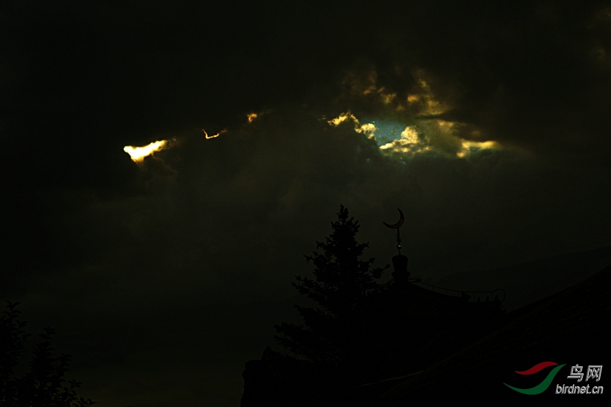 8J6A8663_����_����_����.jpg