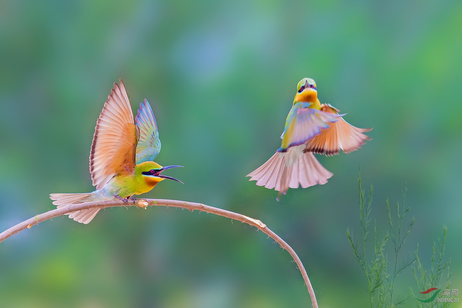 BD0I5306-����-NW-NW.jpg