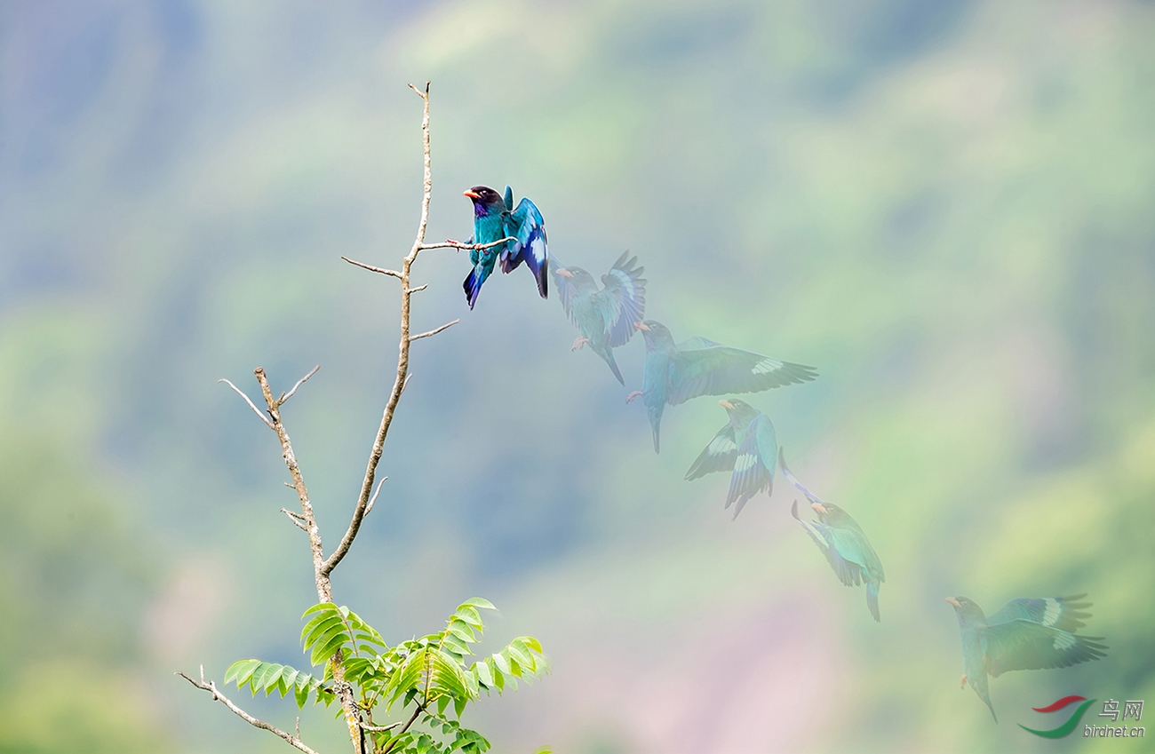 _G4I2720Q.jpg