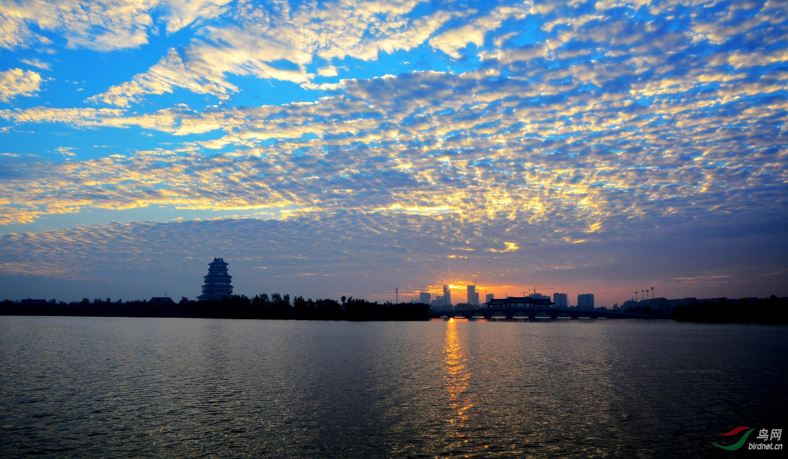 �峿������   DSC_4777.JPG