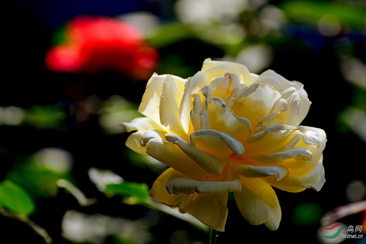 DSC_3375.JPG