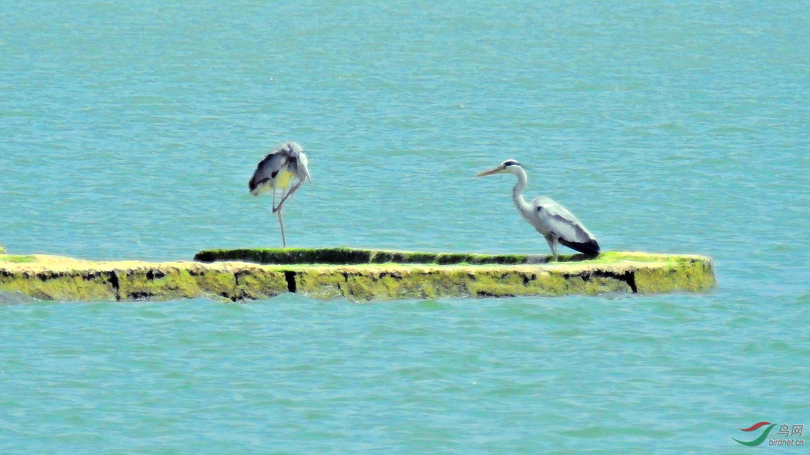 DSCN8544.JPG