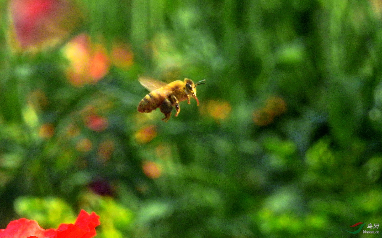 DSCN7784.JPG