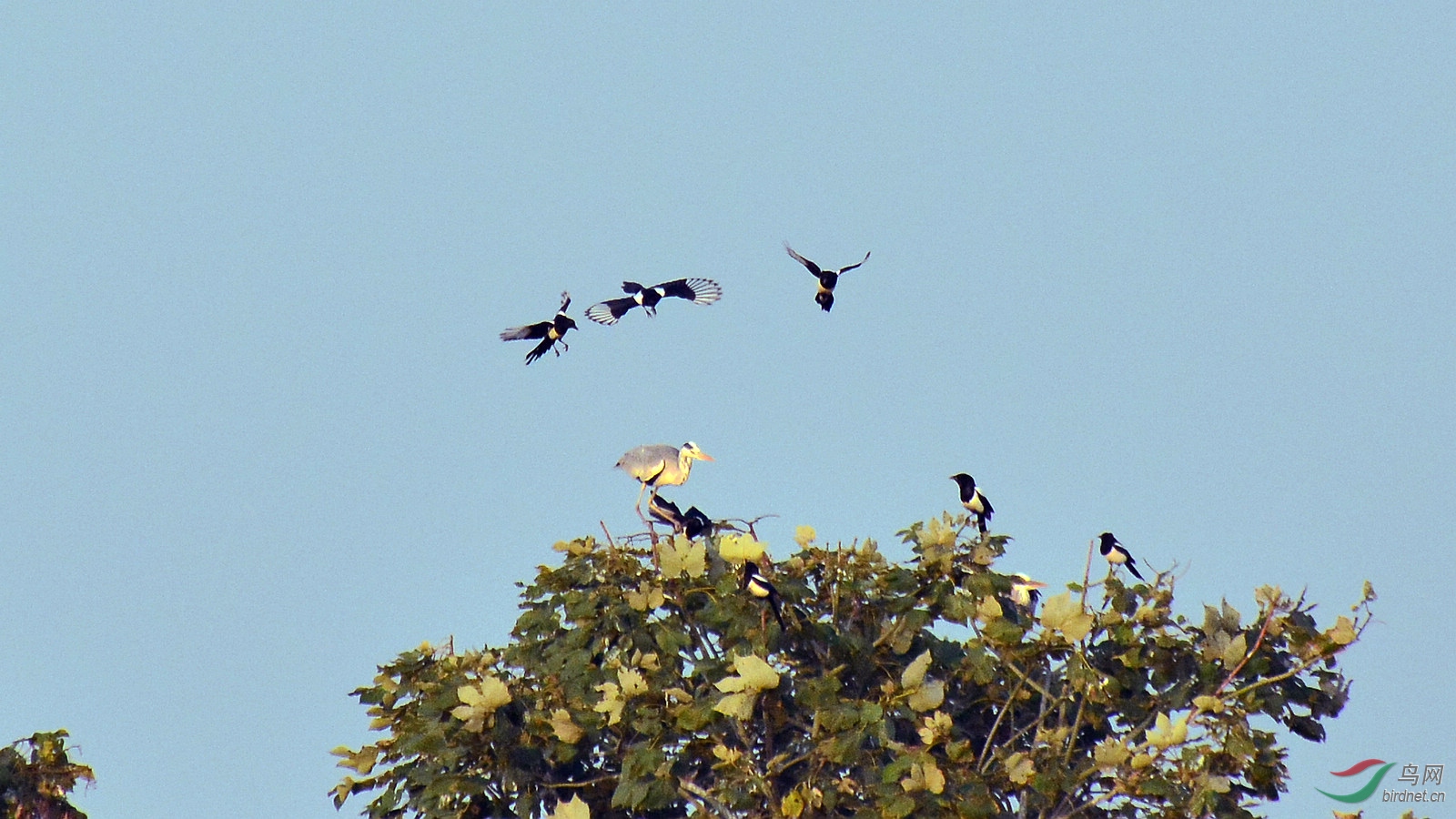 DSC_2386.JPG