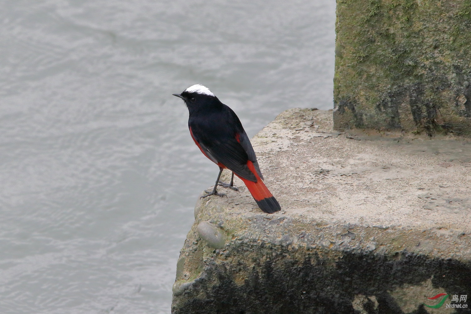 IMG_9482.JPG