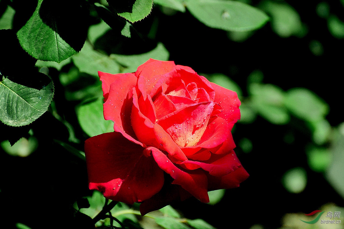 DSC_3395.JPG