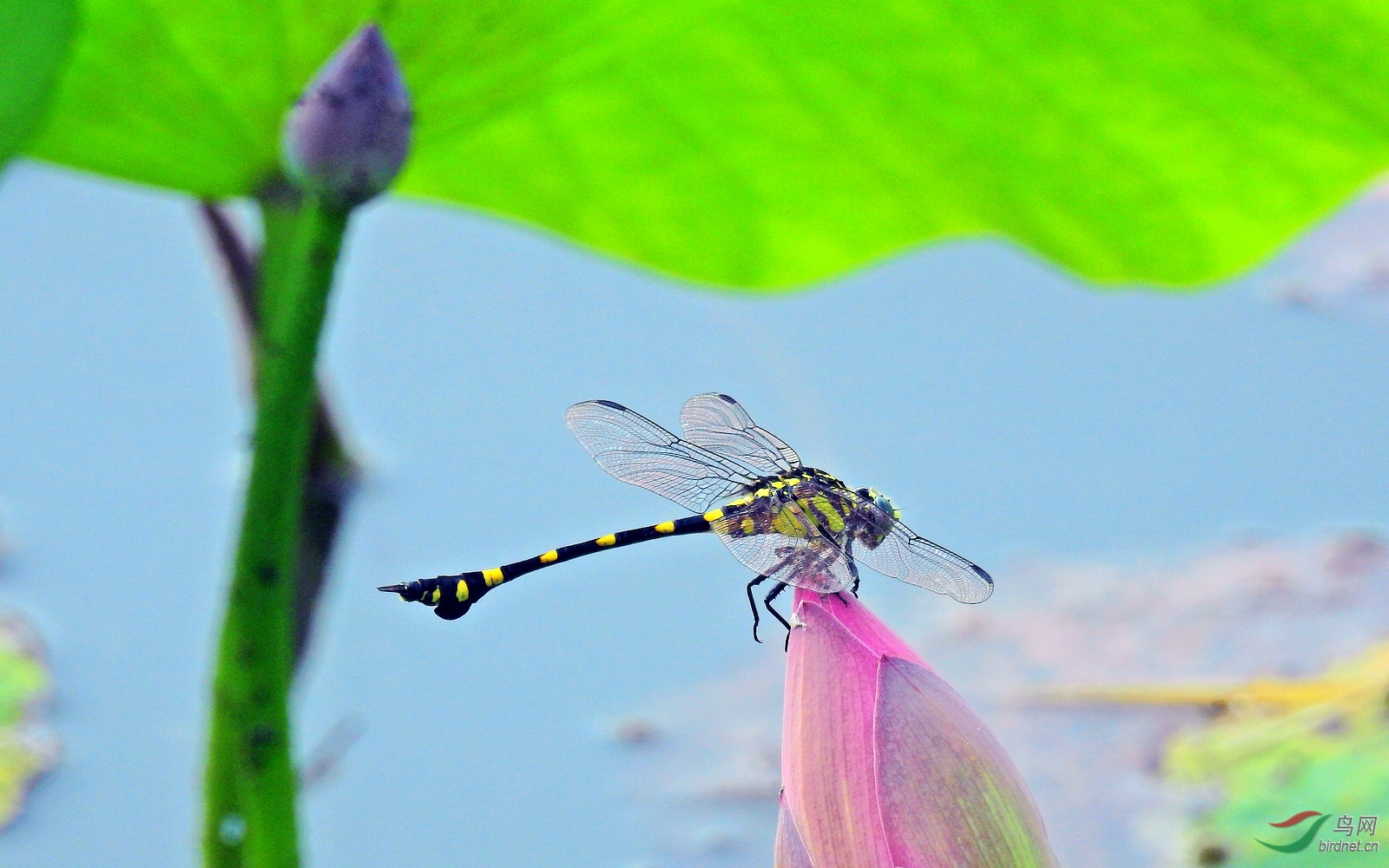 DSCN8990.JPG